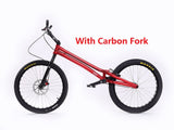 [ FREE shipping ] ECHO GU 24'' Pro with Carbon Fork for Bike Trials